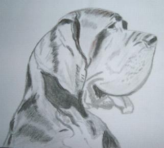 Kopfportrait - Graphit -