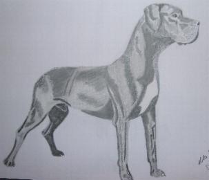 Ganzk�rper - Graphit -