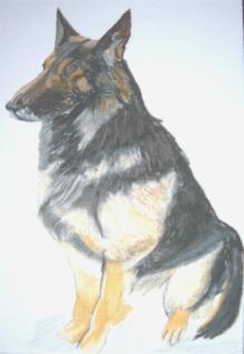 Ganzk�rper - Pastellkreide -