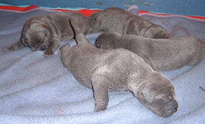 und wieder auf Tour ...