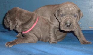 da liegt was im Weg ...