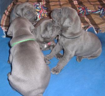 Spielen, Schlafen, Futtern ...