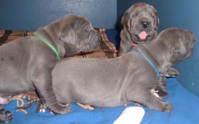 was macht der da blo� ???