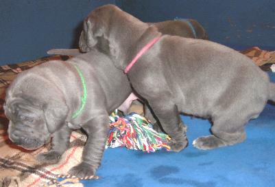 ich mu� hier mal den Kopf aufst�tzen ...