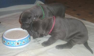 was ist das blo� ...