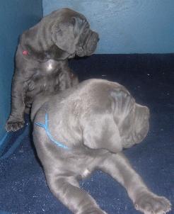 sehr interessant ...