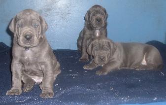 wir sehen doch lieb aus, oder ???