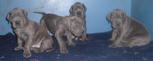 unsere Fruchtzwerge ...