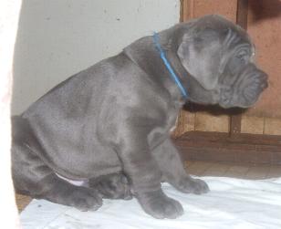 gr�bel, gr�bel ...