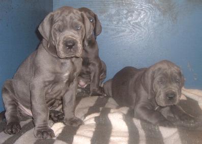 keiner hat Erbarmen mit uns ...