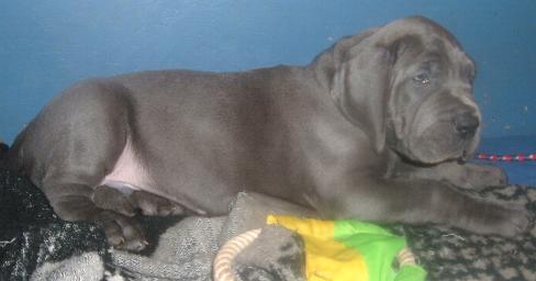 und noch einmal der Wonneproppen ...