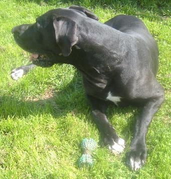 Don-Juan "vom Nospheratus" 