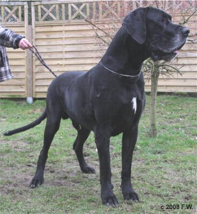 Excalibur v. Nospheratus 