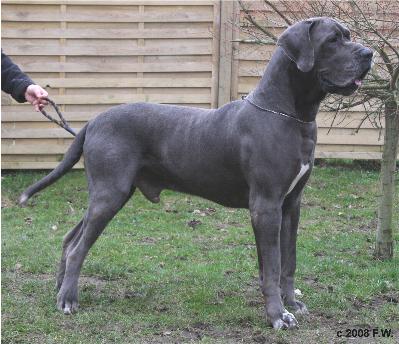 Gaitano-Blue v. Nospheratus 6.JPG (34179 Byte)