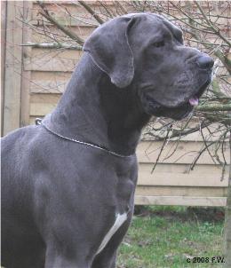 Gaitano-Blue v. Nospheratus 7.JPG (16859 Byte)