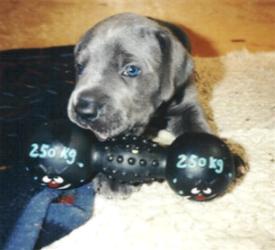 bin ich nicht stark ...