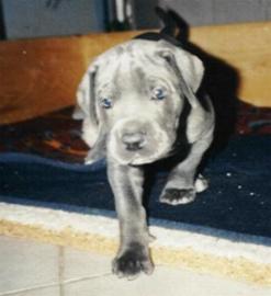 s�sses Kerlchen ...