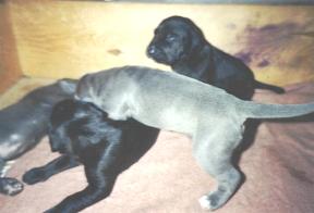 Spielen macht Laune ...