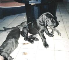 was geht hier ab ...