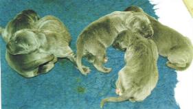 noch sind wir ganz klein ...