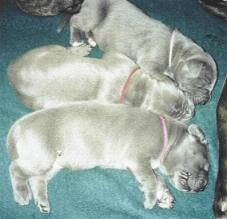 kleine dicke S�cke ...