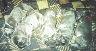 wir schlafen in Reih und Glied ...