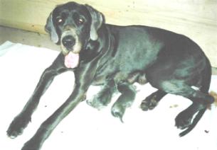 stolze Mama mit ihren 5 Zwergen ...