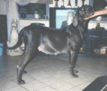 kurz vor der Geburt ...