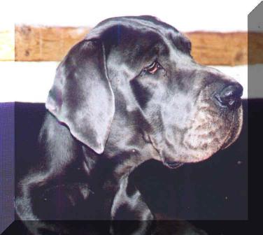 Caskaja "vom Nospheratus"