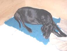 kurz vor der Geburt ...