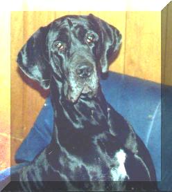 Cleopatra "vom Nospheratus"