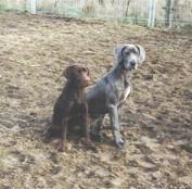 Dschandra und Lukas ...