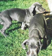 interessant hier ...