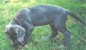 unsere kleine Feodora