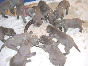 wir haben Hunger ...