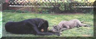 Hasko und Candy