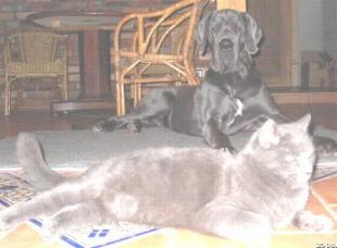 Hermann - 10 Monate alt ...