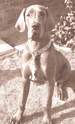 Hope-Aaron - 4 Monate alt ...