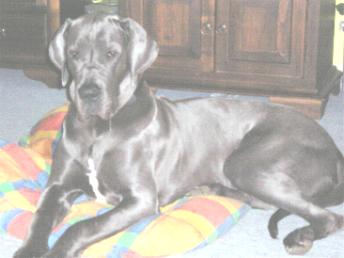 Hope-Aaron - 10 Monate alt ,...