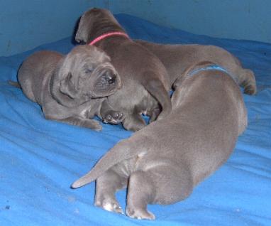 jetzt haben wir schon die �uglein auf ...