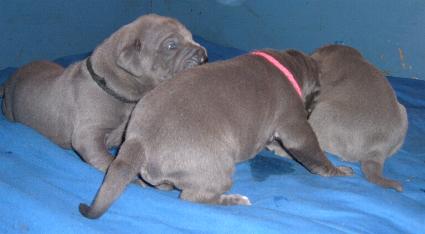 ein bisschen �rgern k�nnen wir uns auch schon ...