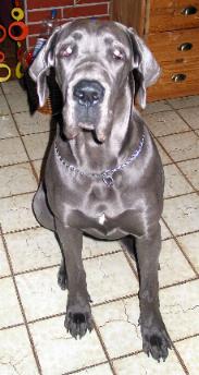 Heartbreaker (Lala) 10 Monate alt ...