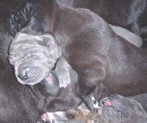 Hauptsache Kontakt ...