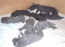 nun sind wir wieder m�de ...