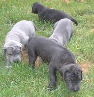 Interessant hier drau�en ...