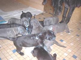 klebrige W�rmer ...