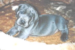 bin ich nicht niedlich ...