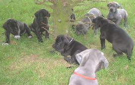 was kann man jetzt anstellen ??