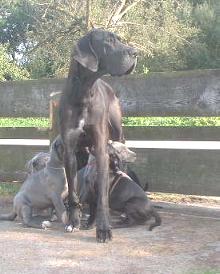 Mama Cleo hat alles im Blick ...